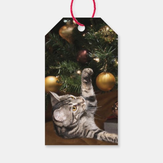 Tabby kitcat Christmas Geschenkanhänger (Rückseite)