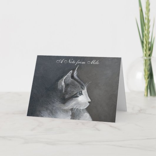 Tabby Kitten (Vorderseite)