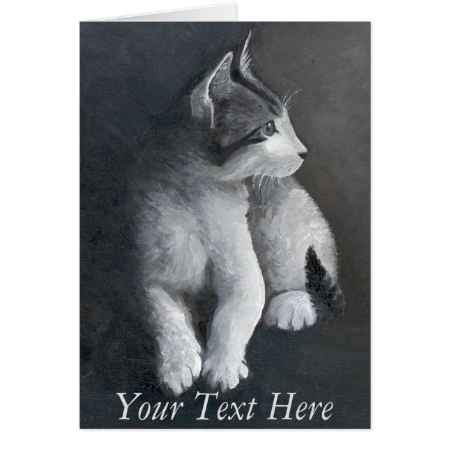 Tabby Kitten (Vorne)