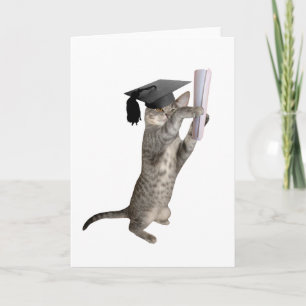 Tabby Kitten Abschluss Card Karte