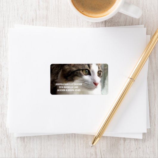 Tabby Kitten Address Labels Adressaufkleber (Insitu)