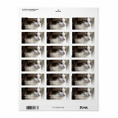 Tabby Kitten Address Labels Adressaufkleber (Vorne)