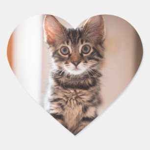Tabby Kitten auf dem Tisch Herz-Aufkleber