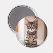 Tabby Kitten auf dem Tisch Magnet (Vorderseite/Rückseite)