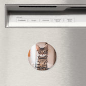 Tabby Kitten auf dem Tisch Magnet (In Situ (Geschirrspüler))