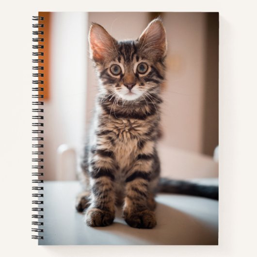 Tabby Kitten auf dem Tisch Notizbuch (Vorderseite)