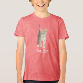 Tabby Kitten Baby Girl's Tri-Blend Tri-Blend Shirt (Vorderseite)