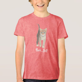 Tabby Kitten Baby Girl's Tri-Blend Tri-Blend Shirt