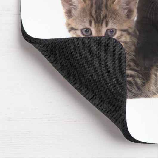 tabby kitten black kitten mousepad (Ecke)