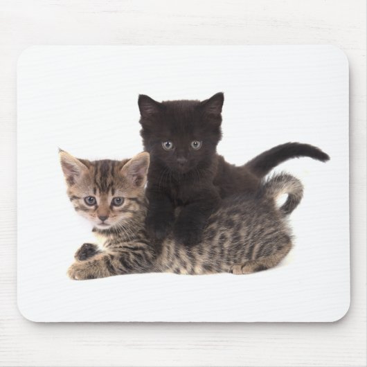 tabby kitten black kitten mousepad (Vorne)