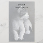 Tabby Kitten Briefpapier (Vorderseite)