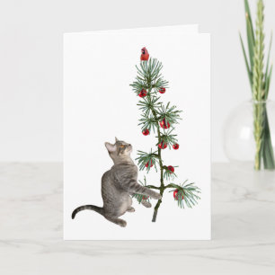Tabby Kitten Christmas Tree Card Karte