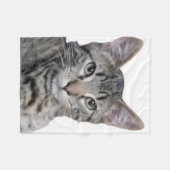 Tabby Kitten Fleecedecke (Vorderseite (Horizontal))