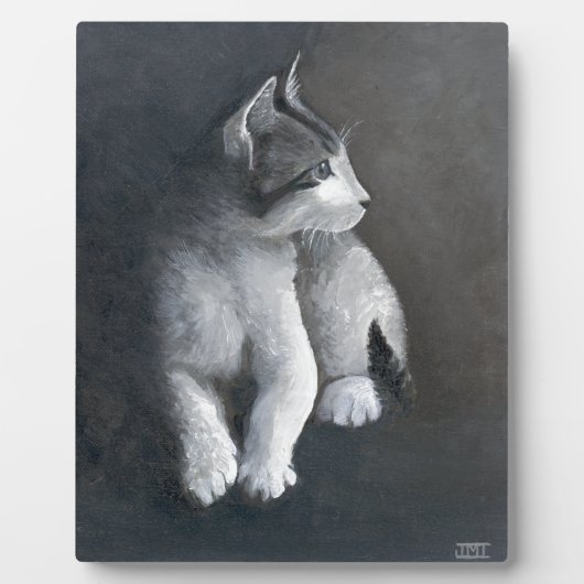 Tabby Kitten Fotoplatte (Vorderseite)