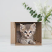 Tabby Kitten für Haustieruntersuchung Postkarte (Stehend Vorderseite)