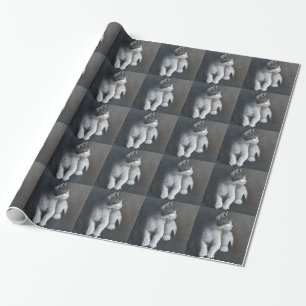 Tabby Kitten Geschenkpapier