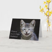 Tabby Kitten Happy Birthday Karte (Gelbe Blume)