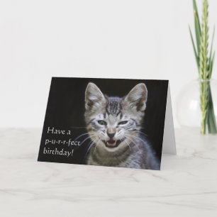 Tabby Kitten Happy Birthday Karte