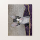 Tabby Kitten in einem Lila Bett Puzzle (Vertikal)