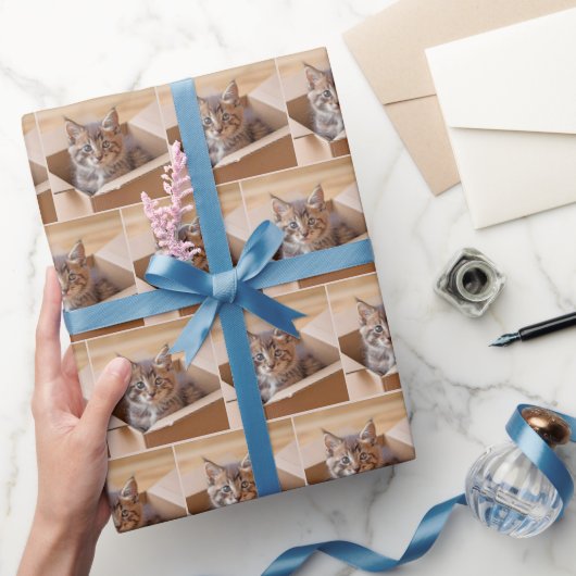 Tabby Kitten in Faltschachtel Geschenkpapier (Schenken)