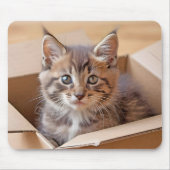 Tabby Kitten in Faltschachtel Mousepad (Vorne)
