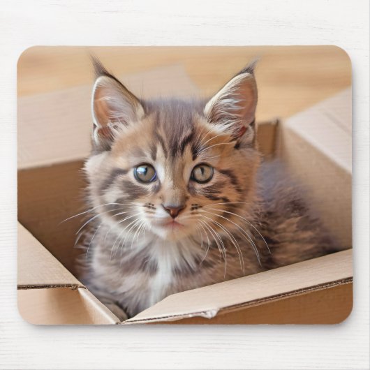 Tabby Kitten in Faltschachtel Mousepad (Vorne)
