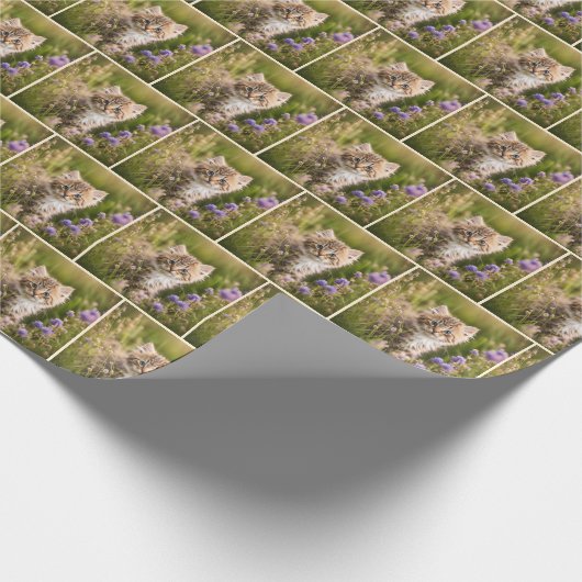 Tabby Kitten in Wildblumen Geschenkpapier (Ecke)