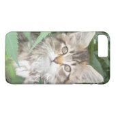 Tabby Kitten iPhone 7 plus Gehäuse Case-Mate iPhone Hülle (Rückseite (Horizontal))