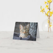 Tabby Kitten Karte (Gelbe Blume)