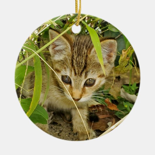Tabby Kitten Keramik Ornament (Vorne)