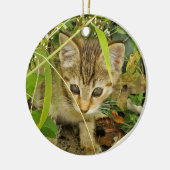 Tabby Kitten Keramik Ornament (Links)