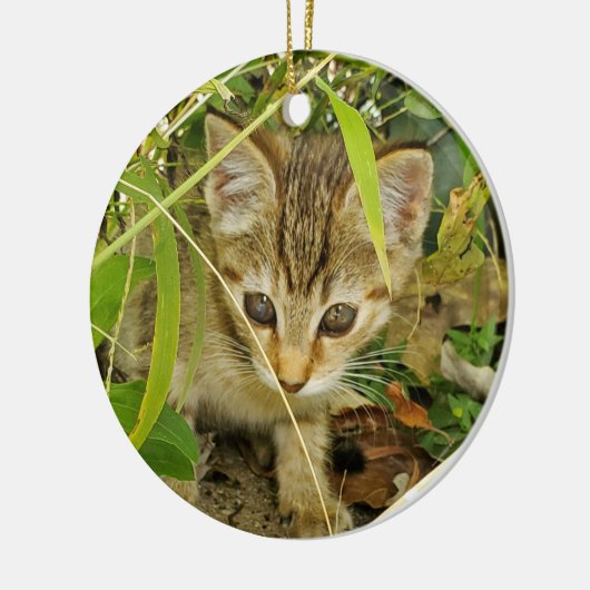 Tabby Kitten Keramik Ornament (Links)