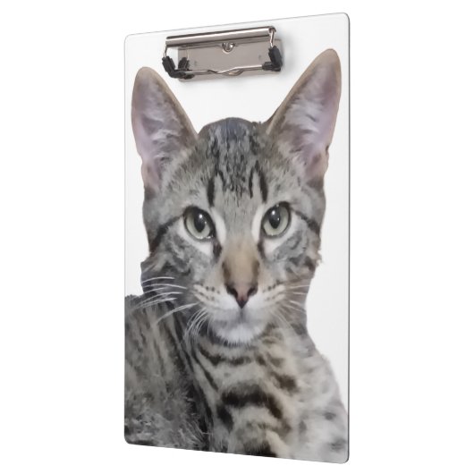 Tabby Kitten Klemmbrett (Links)