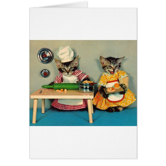 Tabby Kitten Koch und Tabby Kitten Assistentin (Vorne)