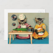 Tabby Kitten Koch und Tabby Kitten Assistentin Postkarte (Vorne/Hinten)