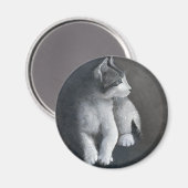 Tabby Kitten Magnet (Vorderseite/Rückseite)