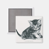 Tabby Kitten Magnet (Vorderseite/Rückseite)