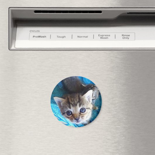 Tabby Kitten Magnet (In Situ (Geschirrspüler))