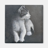 Tabby Kitten Magnet (Vorne)