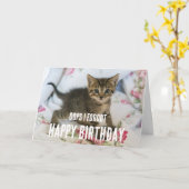 Tabby Kitten mit überraschendem Blick vergessen Ge Karte (Gelbe Blume)