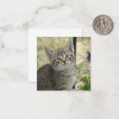 Tabby Kitten Mitteilungskarte (Vorderseite/Rückseite Beispiel)