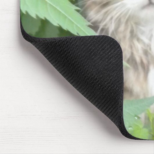 Tabby Kitten Mousepad (Ecke)