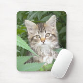 Tabby Kitten Mousepad (Mit Mouse)