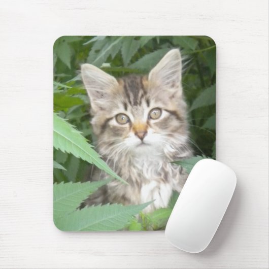 Tabby Kitten Mousepad (Mit Mouse)