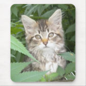 Tabby Kitten Mousepad (Vorne)