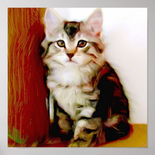 Tabby Kitten poster (Vorne)