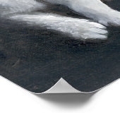 Tabby Kitten Poster (Ecke)