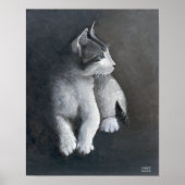 Tabby Kitten Poster (Vorne)