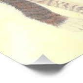 Tabby Kitten Poster (Ecke)