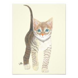 Tabby Kitten Poster